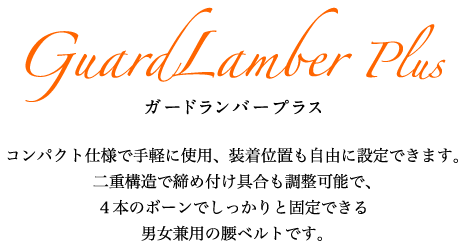 ガードランバープラス