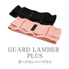 ガードランバープラス