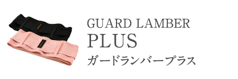 ガードランバープラス
