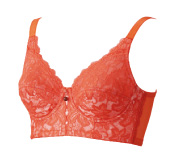 パッションブラ