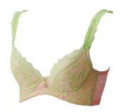 ヴィーナスプリティブラ