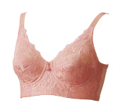 ヴィーナスブラ