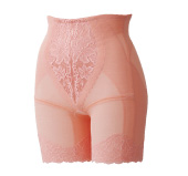 ヴィーナスセミガードル