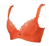 パッションプリティブラ