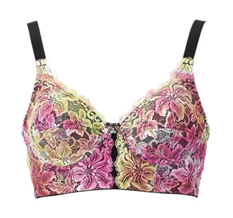 レインボーブラ